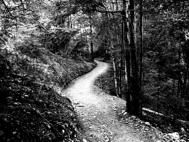The perfect trail