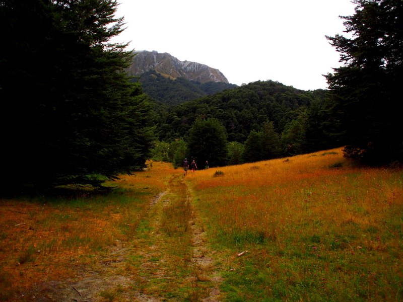 Getting close to the cabin
