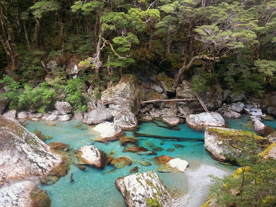 The river 