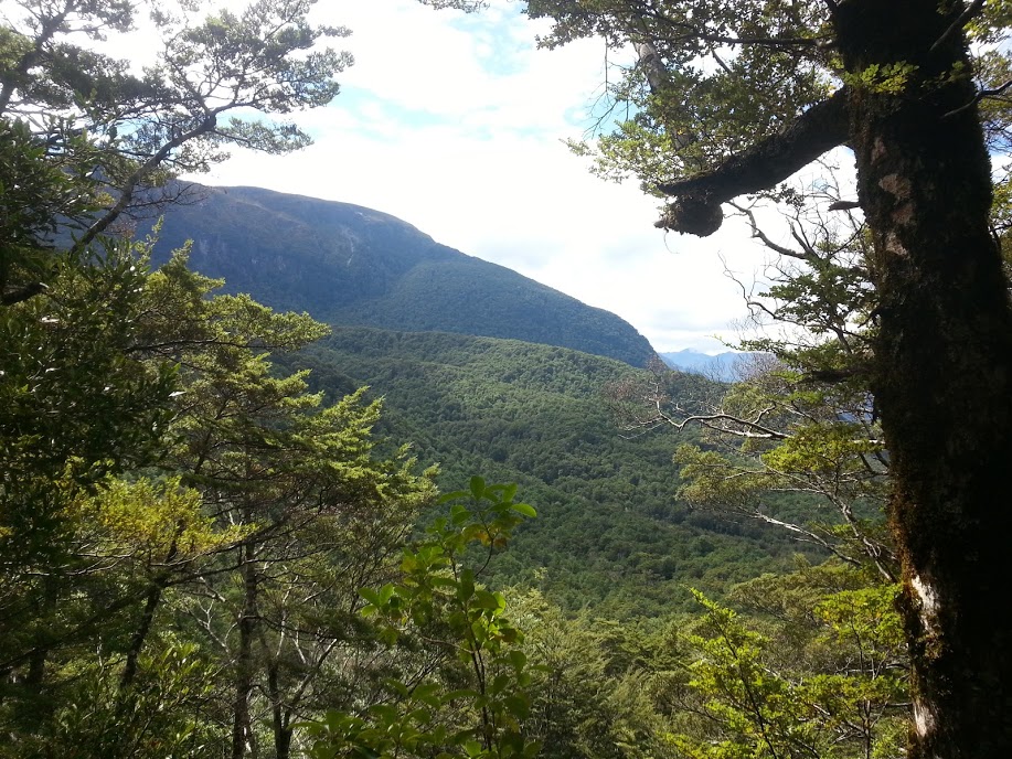 I felt like we were in the rain forest. 