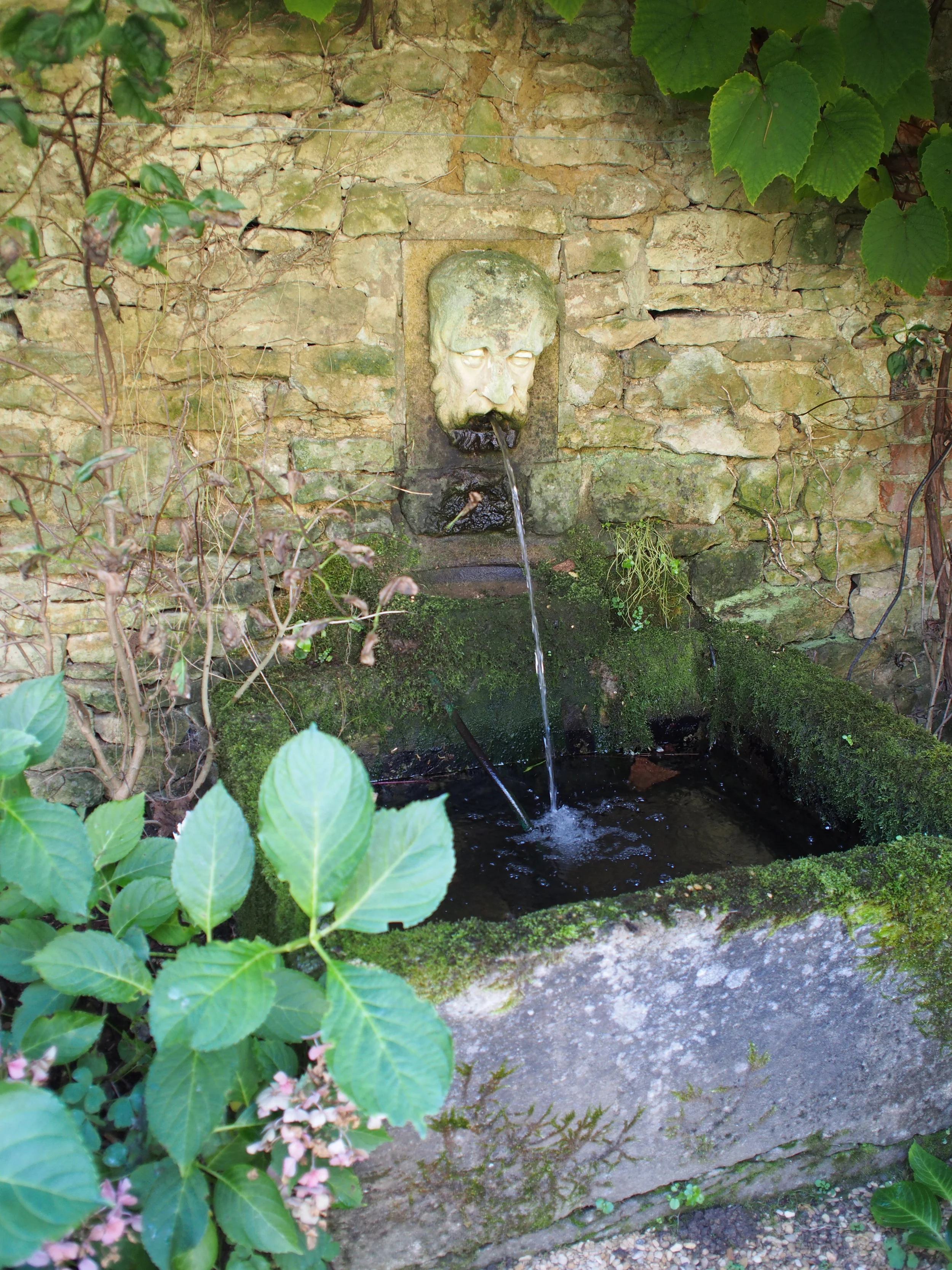 P9300025-001.JPG