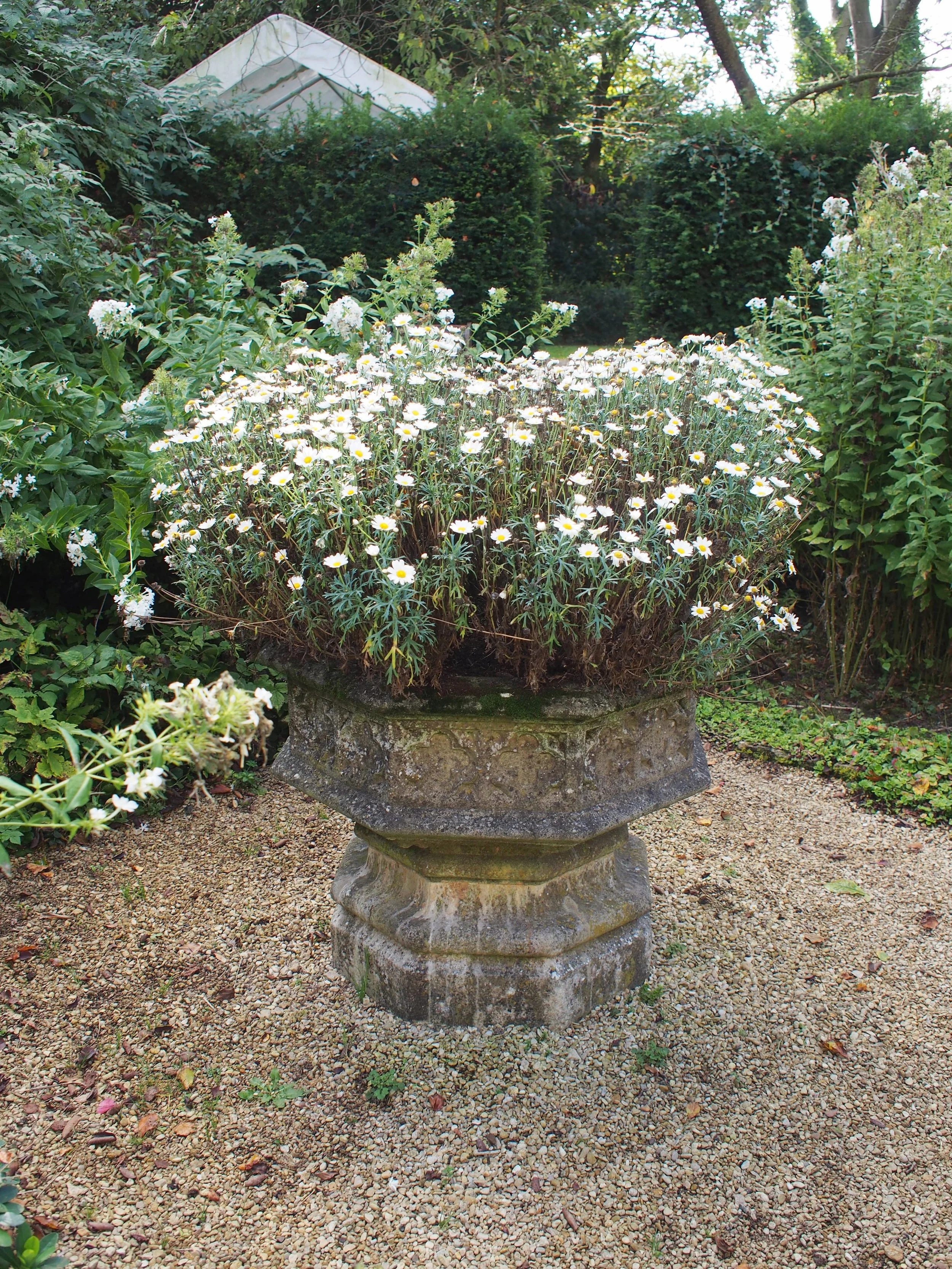 P9300028-001.JPG