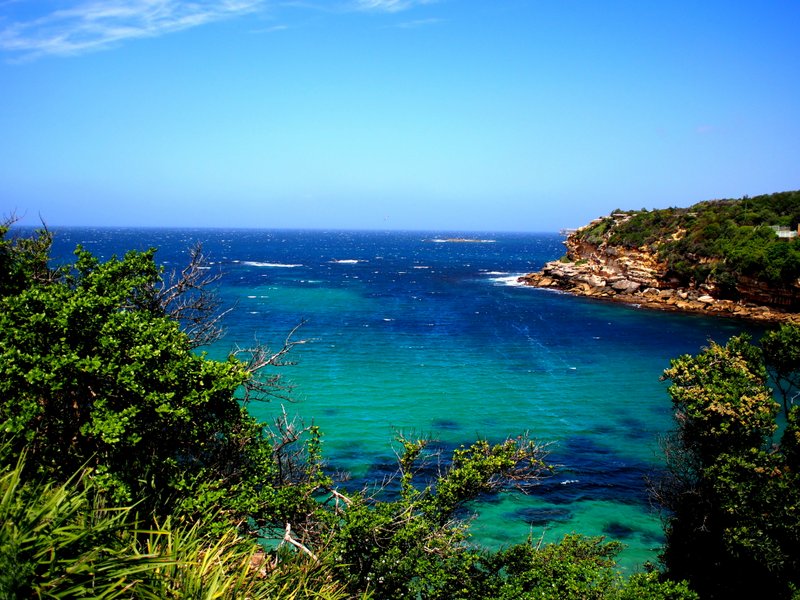 Sydney or Hawaii?