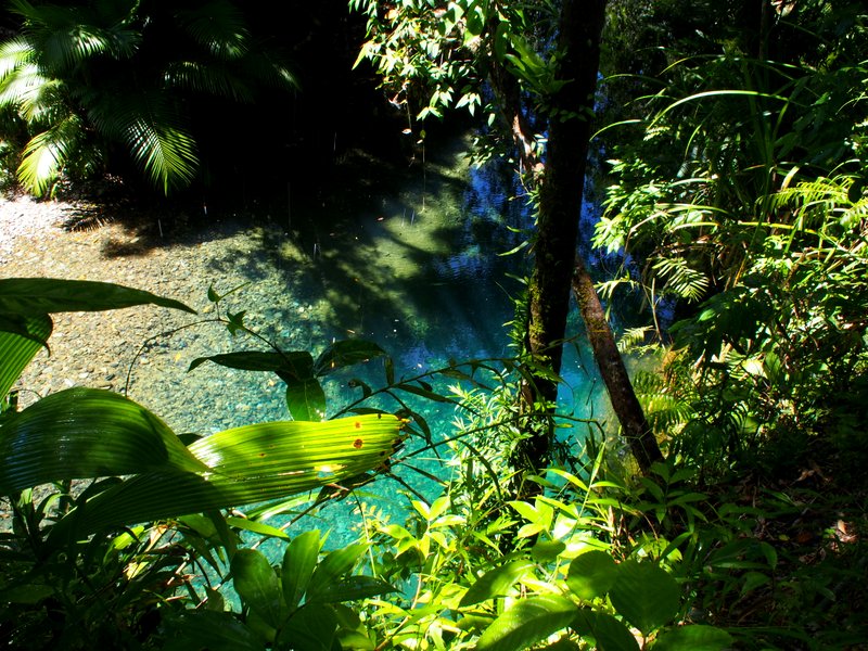 The swimming hole 