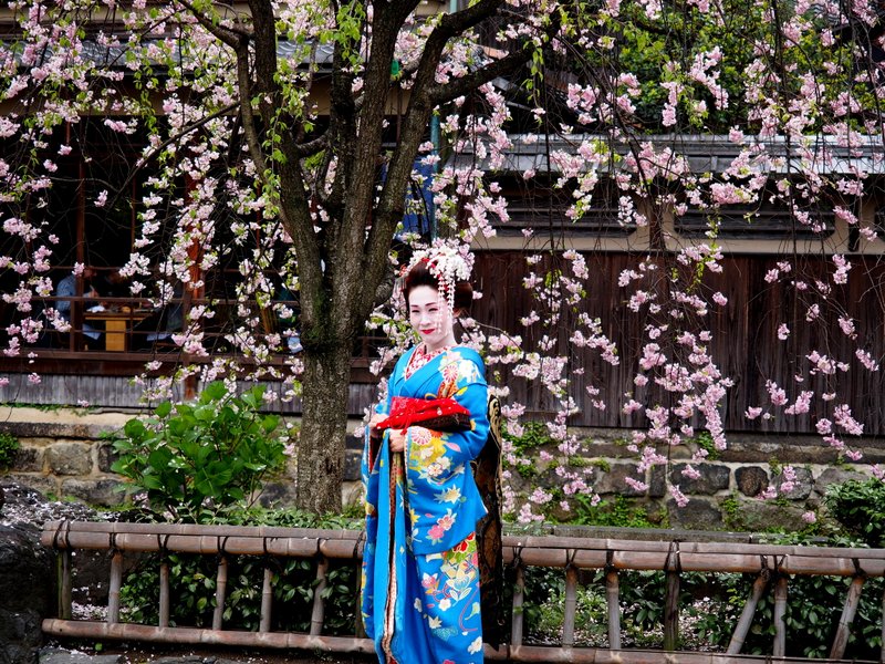 Our guide told us this was actually a tourist, not a real Geisha
