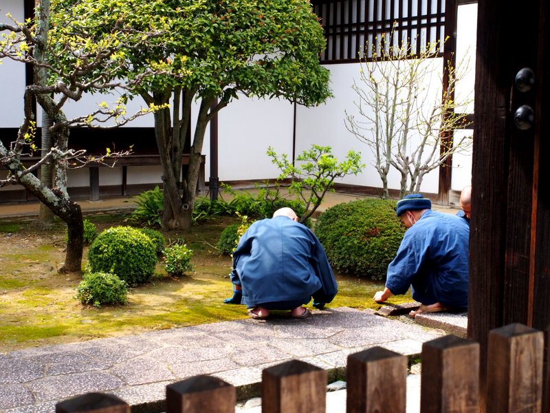 Monks gardening - they are tending to the moss - incredible attention to detail