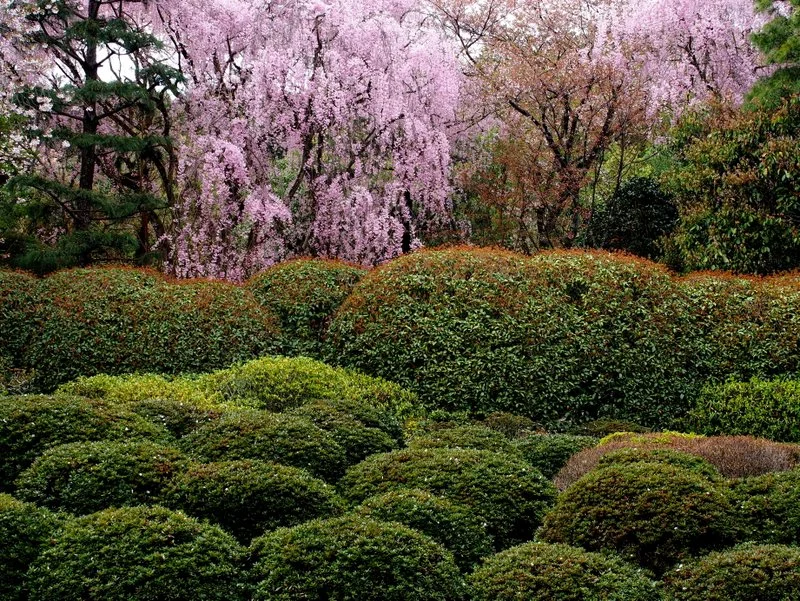 It was a really pretty garden