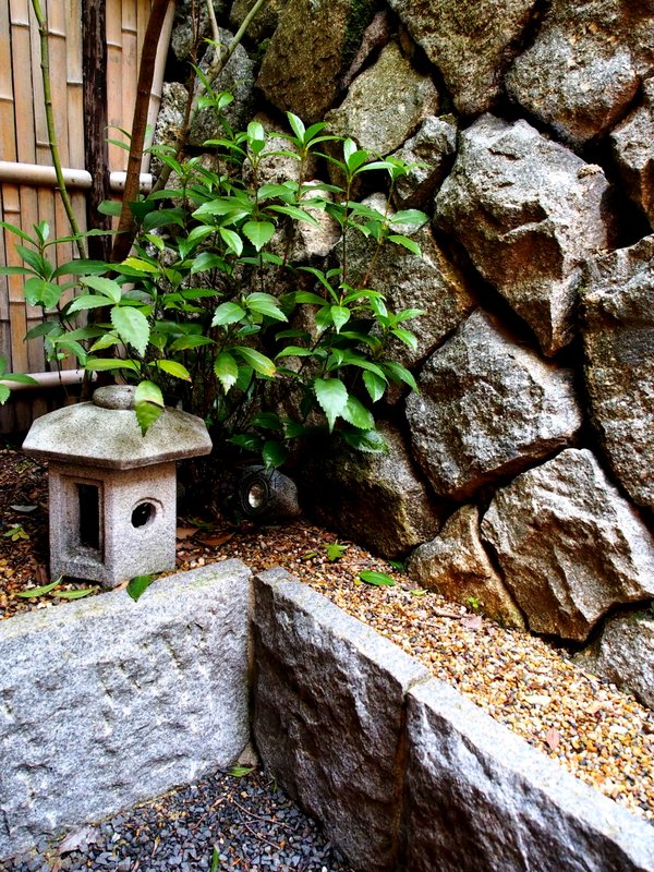 Our Garden