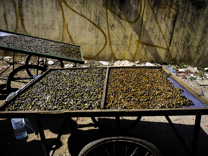 This is what the locals sell to make money - they are salted river clams