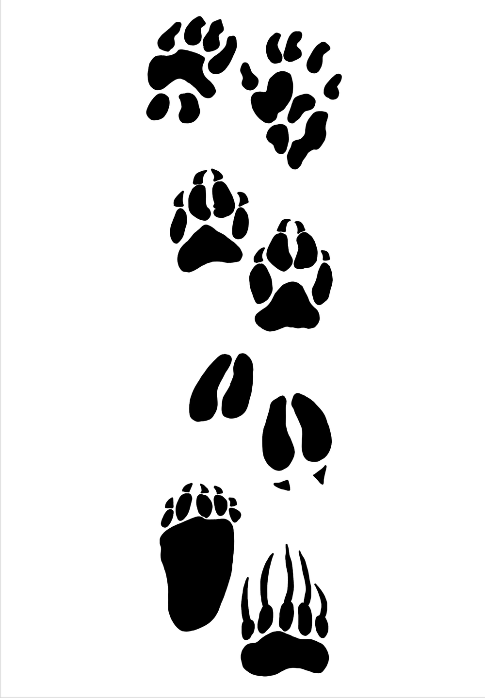 Animal Tracks Clipart