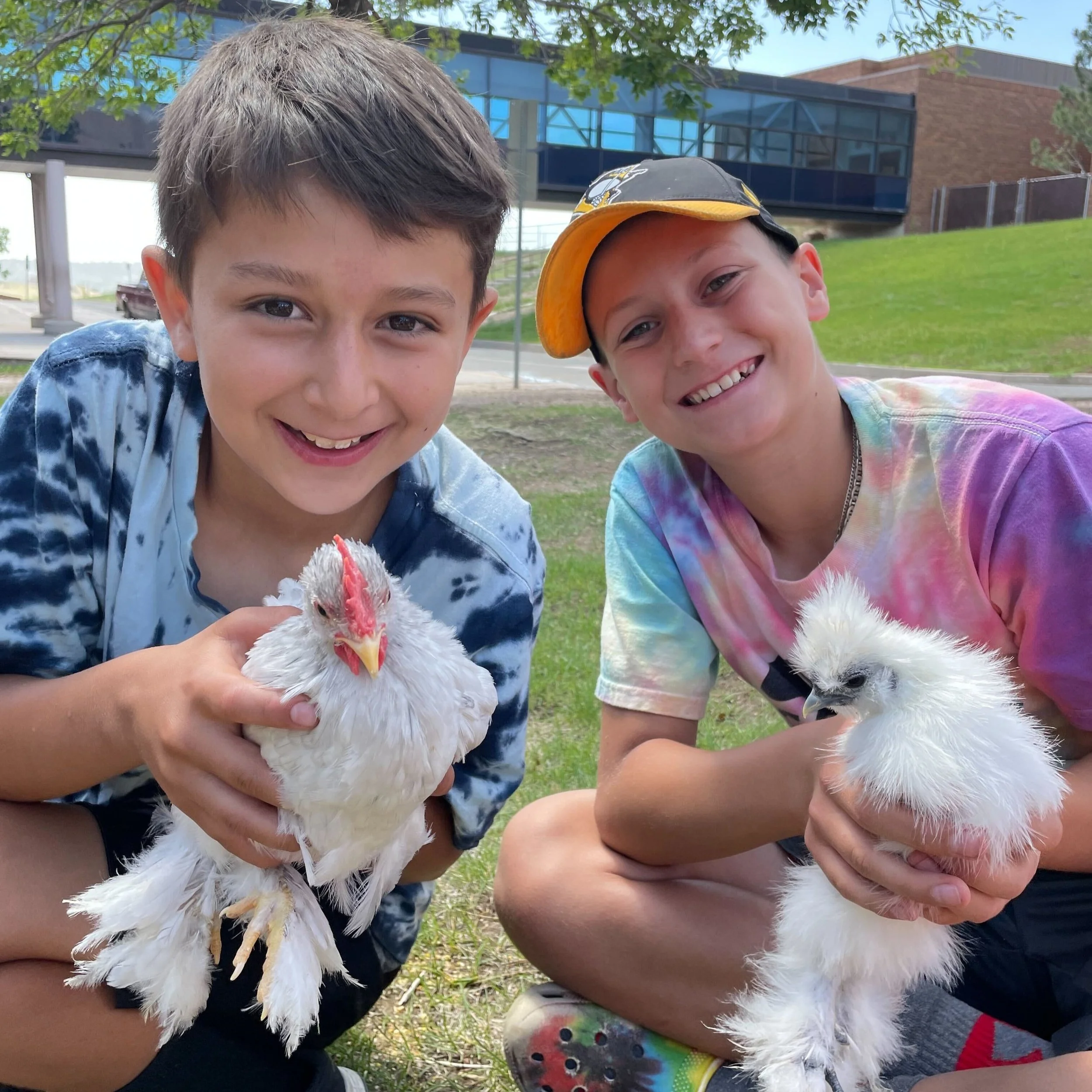 Farm to Camp: The Benefits of Gardening and Animal Interaction