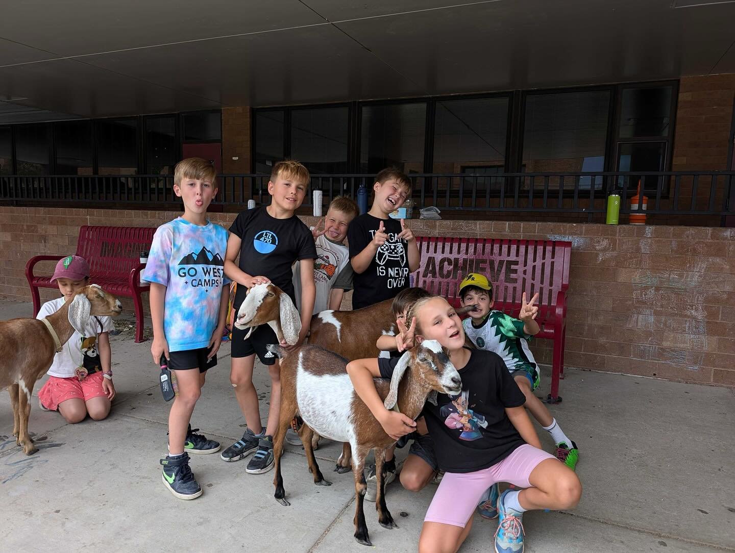 I think our goats love the campers as much as the campers love our goats! #gowest #goats #camplife #happysummer #silly