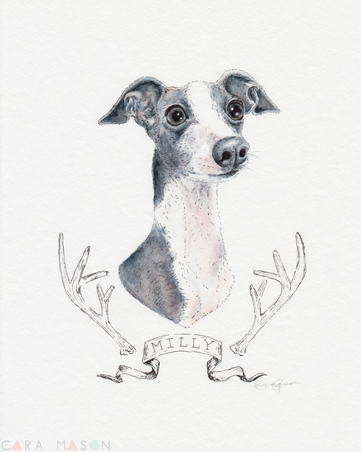 Besides my own darling dog portraits, I think Milly is my one of favorites. I've seen many of my furry face friends become beautiful watercolors through Cara's work.