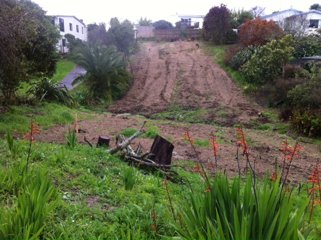 The bare site prior to construction work. It runs in a north/south direction and the photo is taken looking from the road.