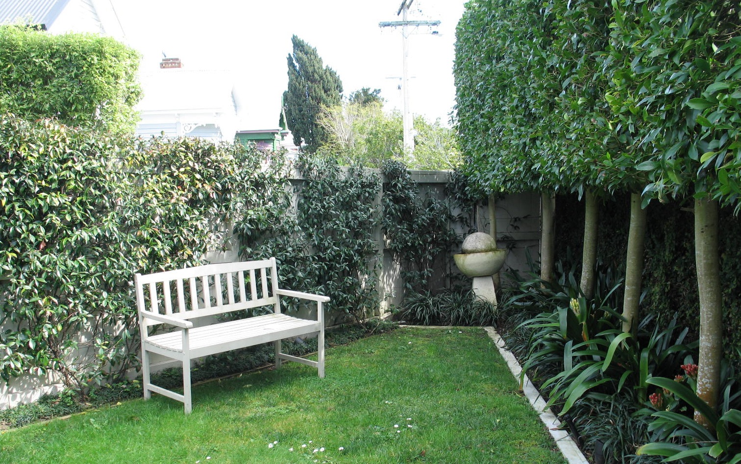 Star jasmine on the fence to the left provides scent during summer while the water feature disguises the sound of traffic. The grey trunks of the pleached trees (Ficus hillii) create a sense of rhythm and also visual links between the different areas of the garden. 