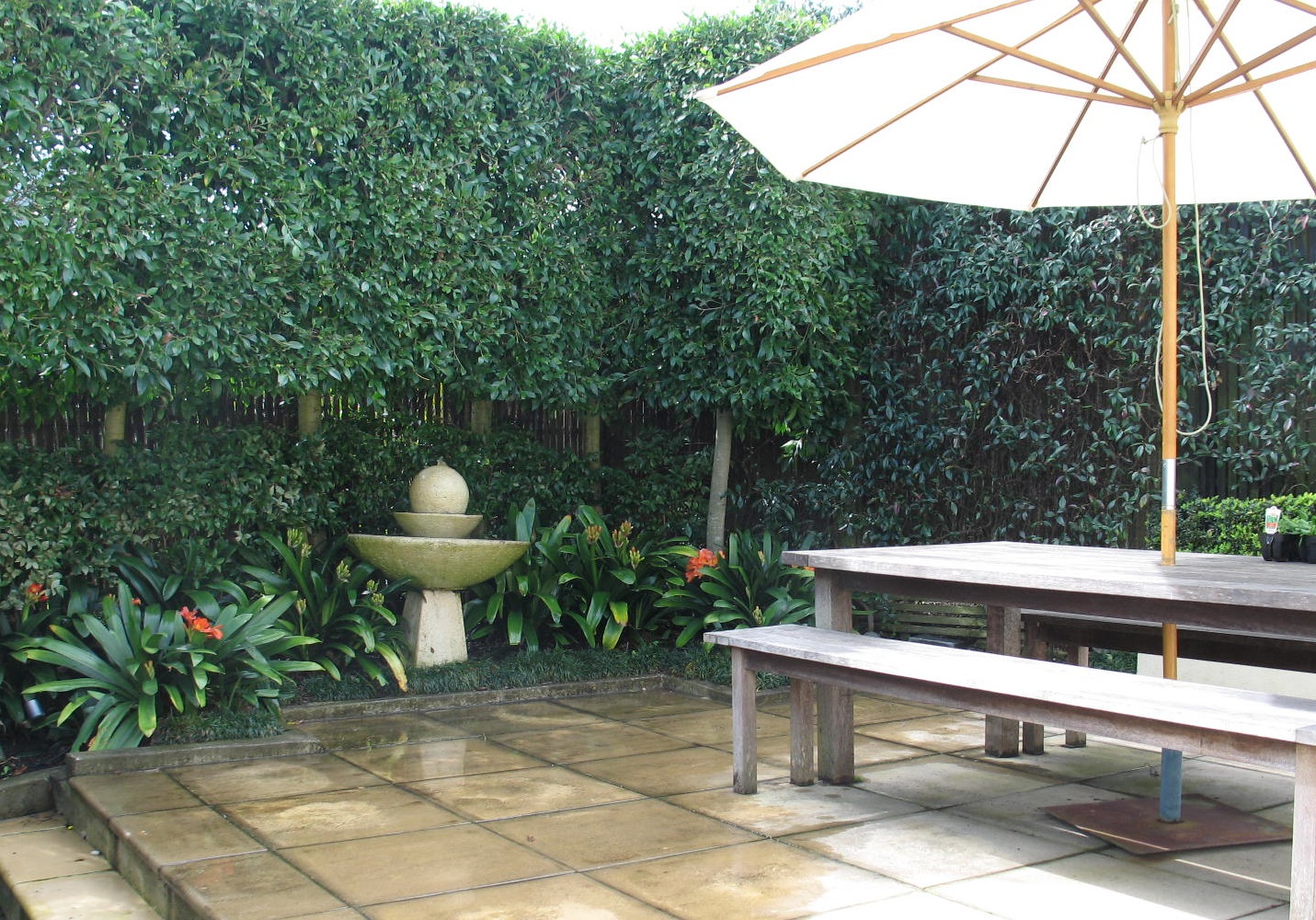 An awkwardly shaped inner city site with screening needed from neighbours on all sides. Pleached trees provide privacy and disguise high fences with shade loving clivia, camellias, liriope and mondo grass planted below.