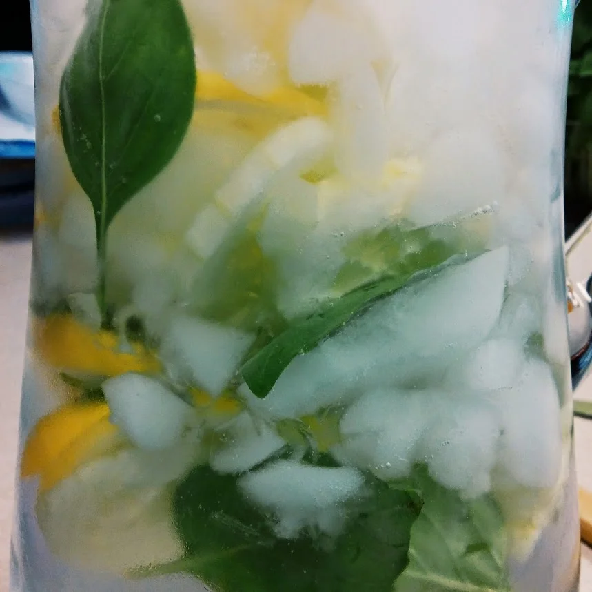 Lemon, Cucumber * Basil infused water. Yummy!