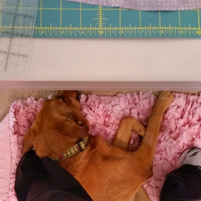 Always under the feet!