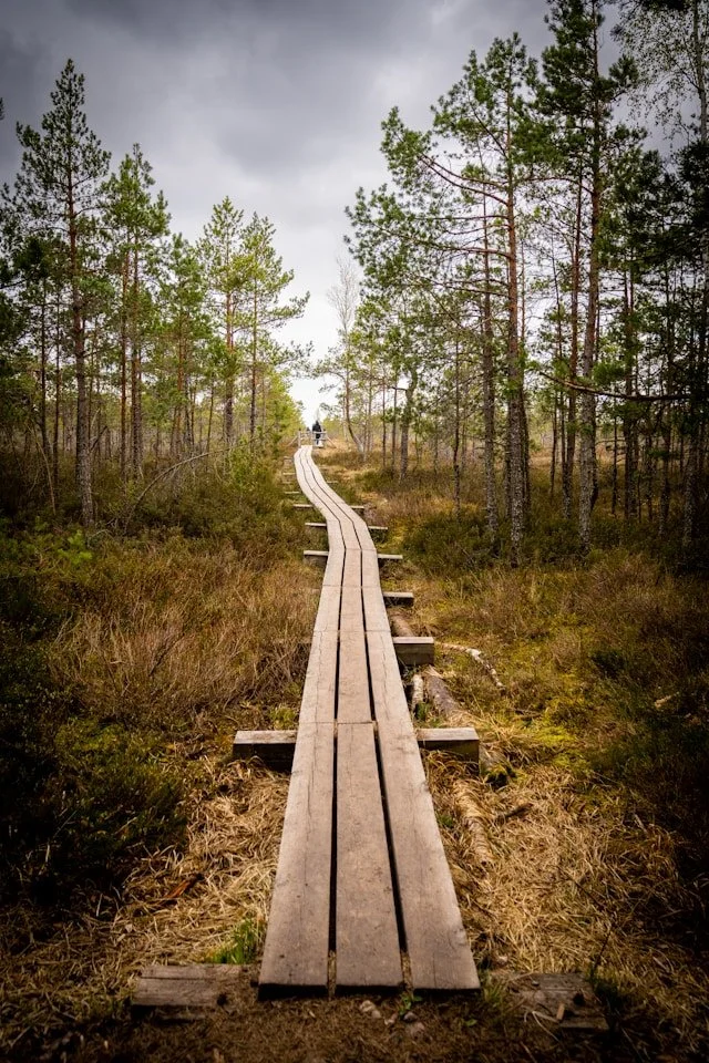 Solo Journey: An Only Child’s Reflections on Losing a Parent