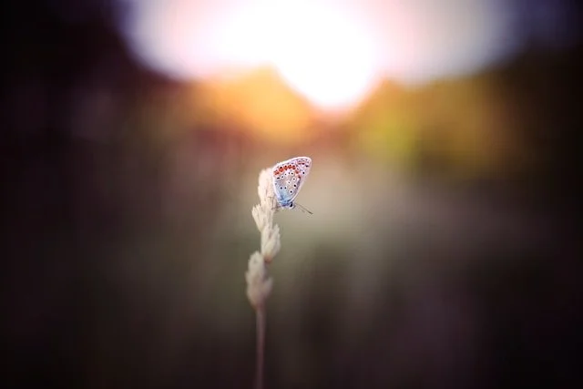 The Glory in the Staying