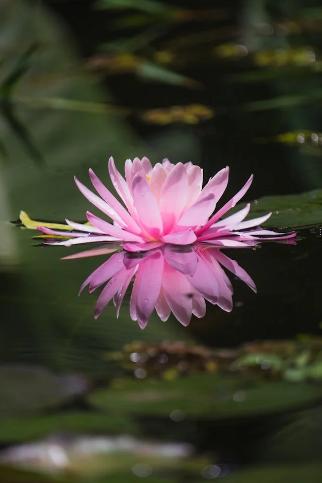 Silent Saturday: The Day Between