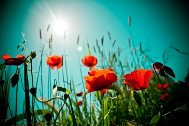 May Comes Anyway