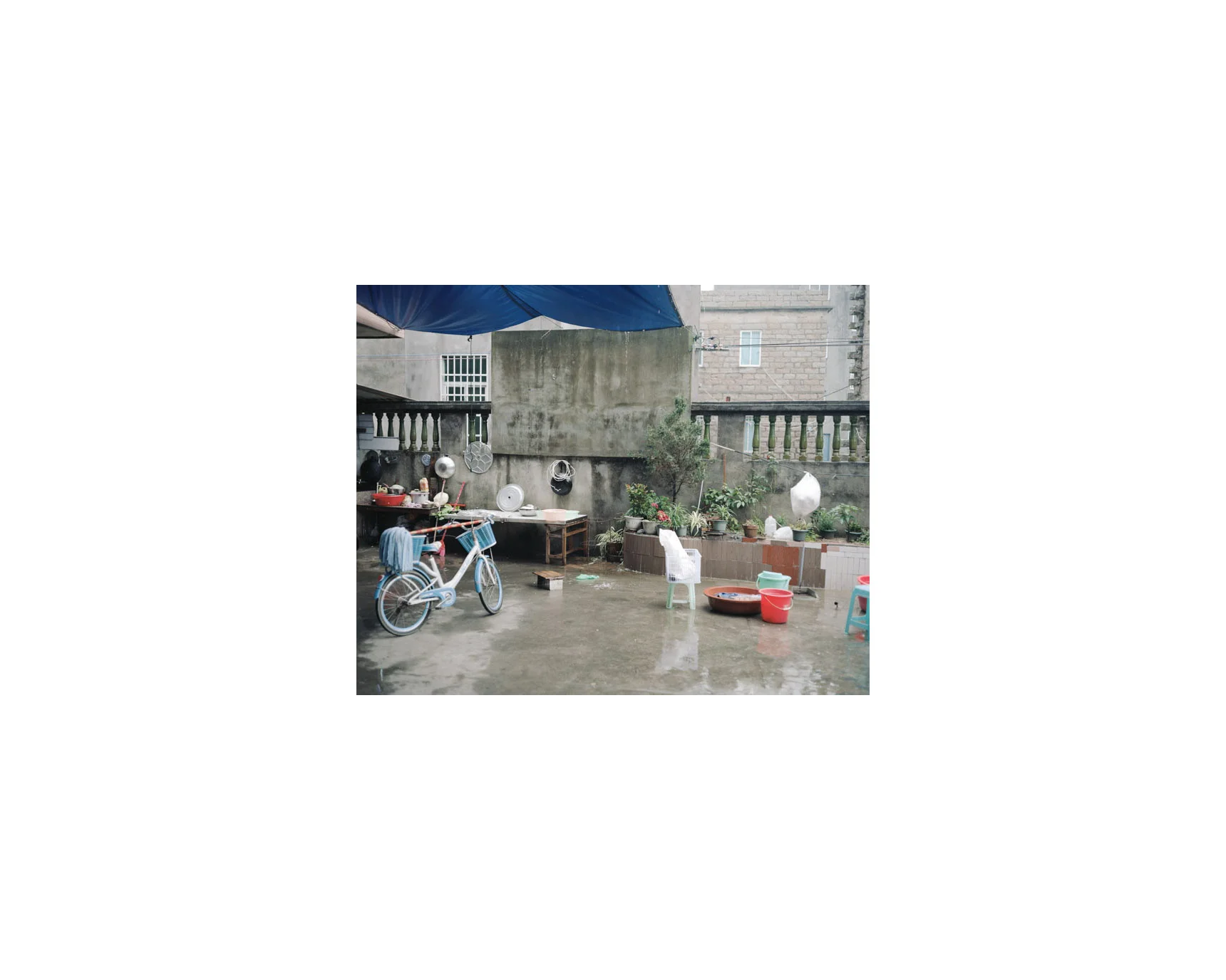 yard.jpg