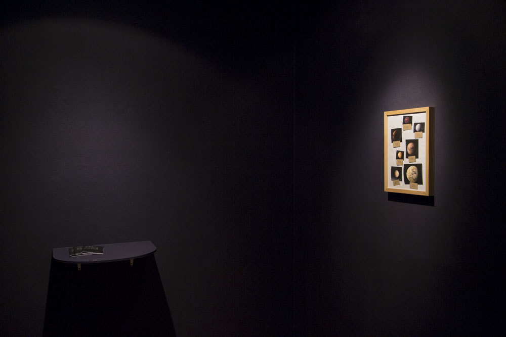 installation view, 2016