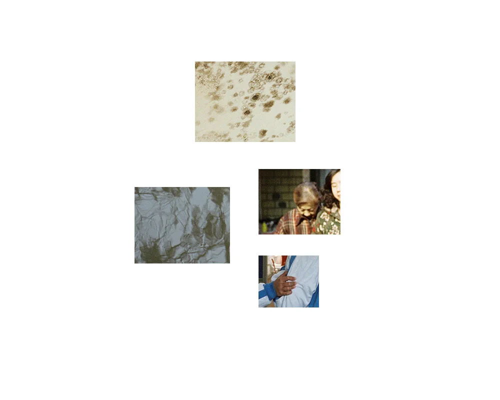 collage.jpg