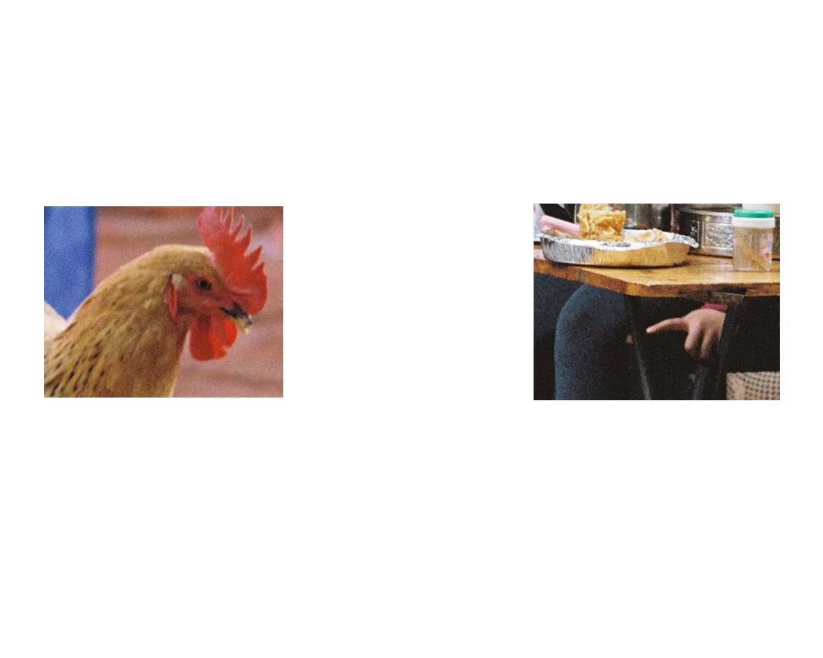 chicken.jpg