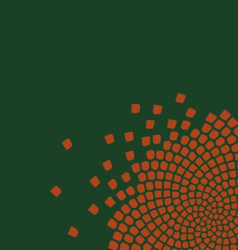 SV Graphic.png