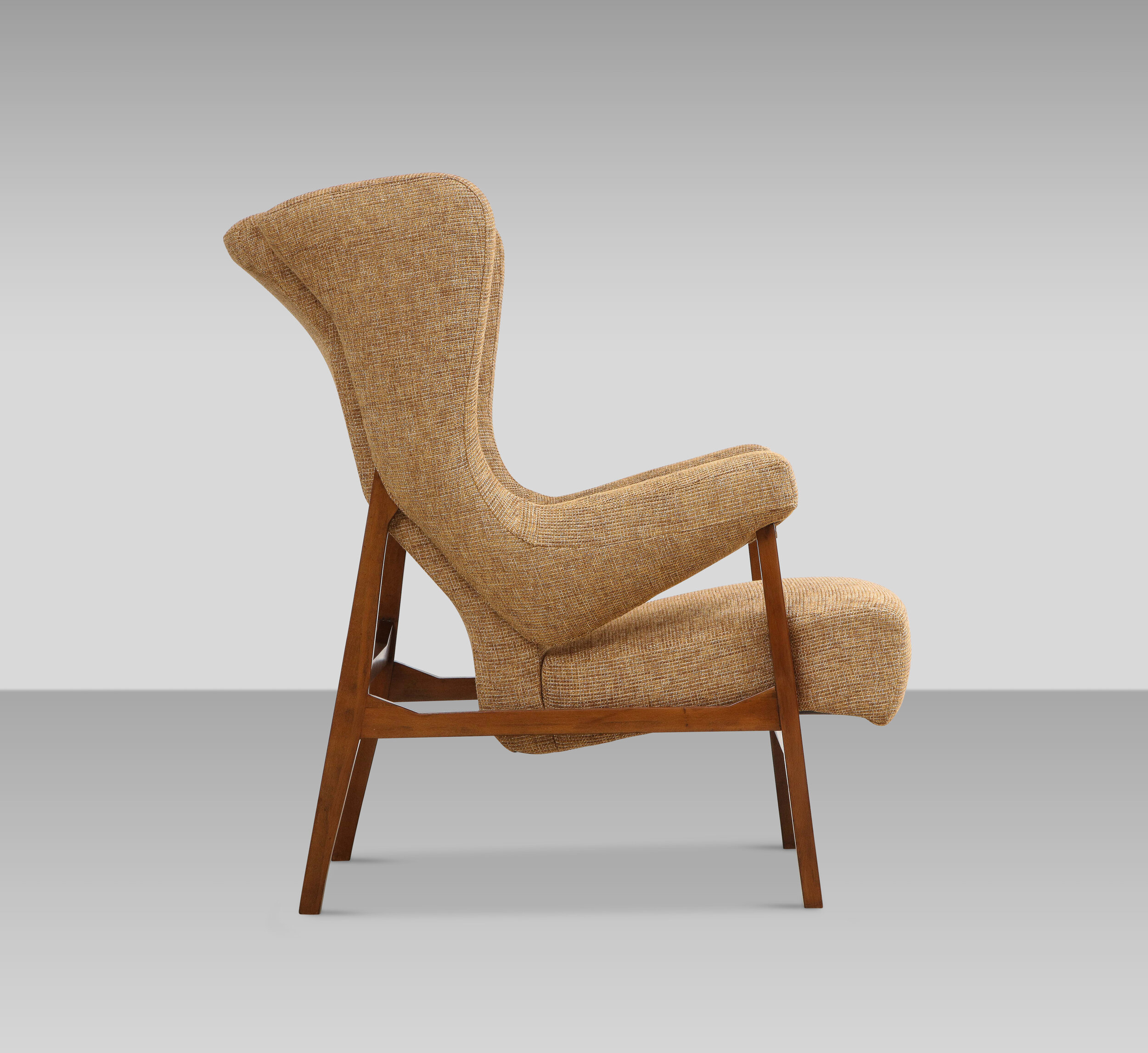 Fiorenza Armchair by Franco Albini for Arflex