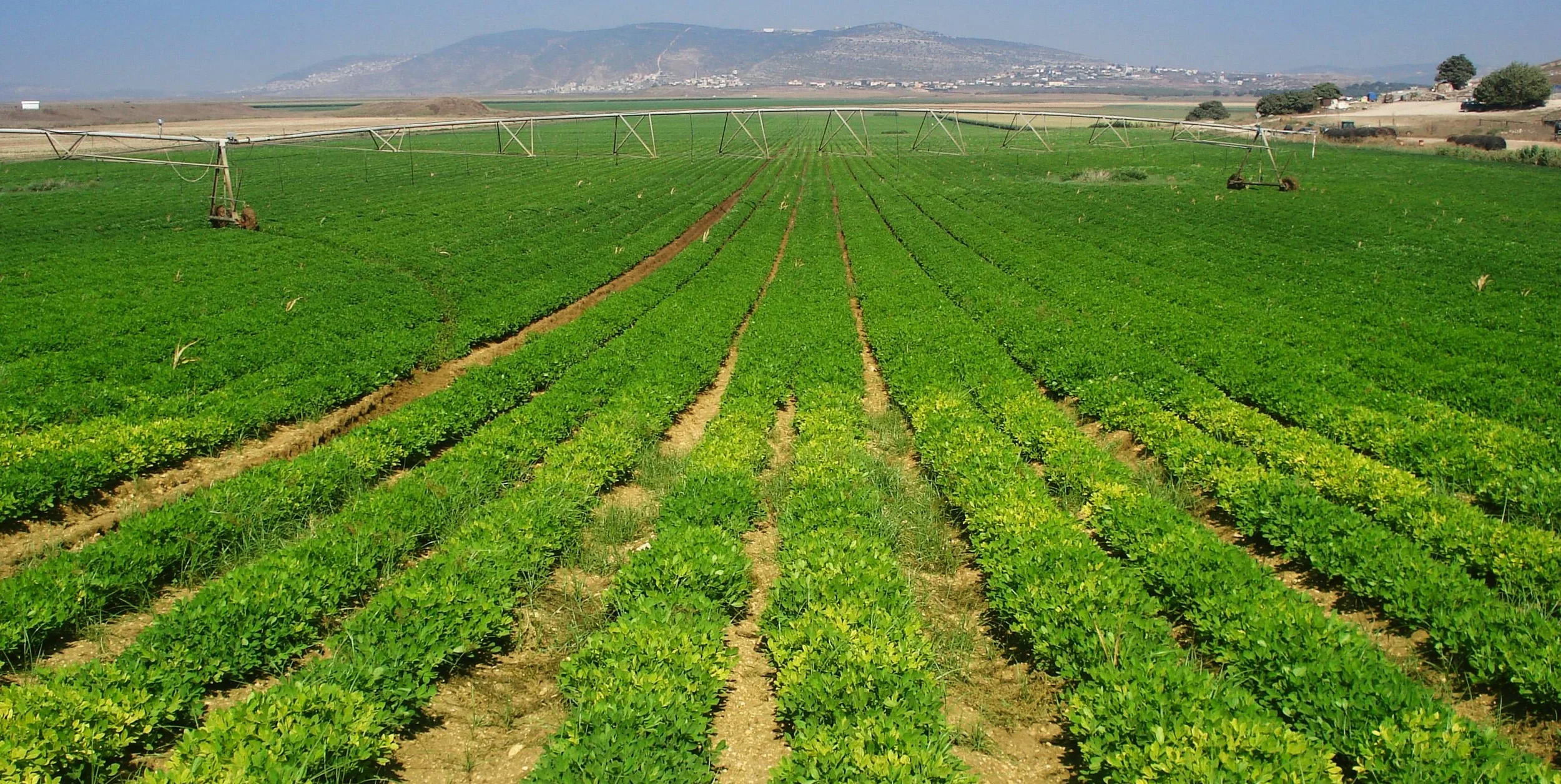 agriculture-economics.jpg