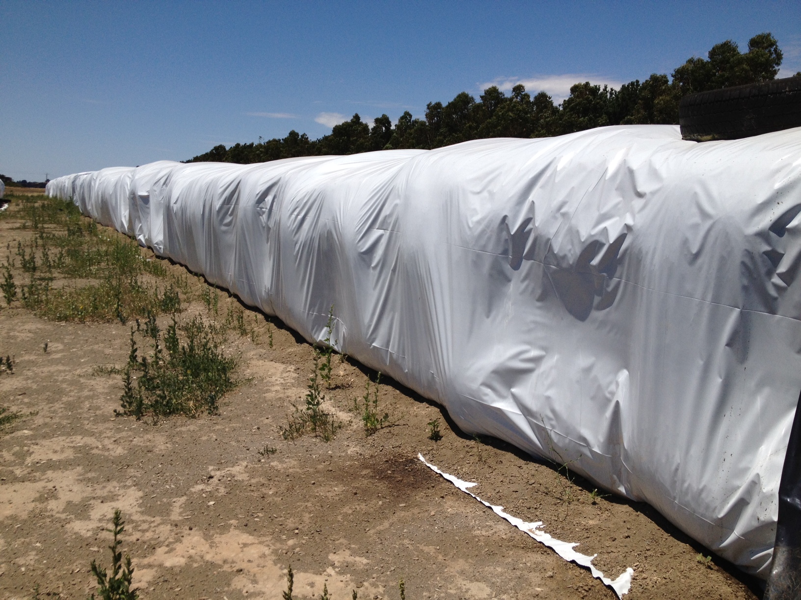 Hyplast Silage Cover over Square bales.jpg