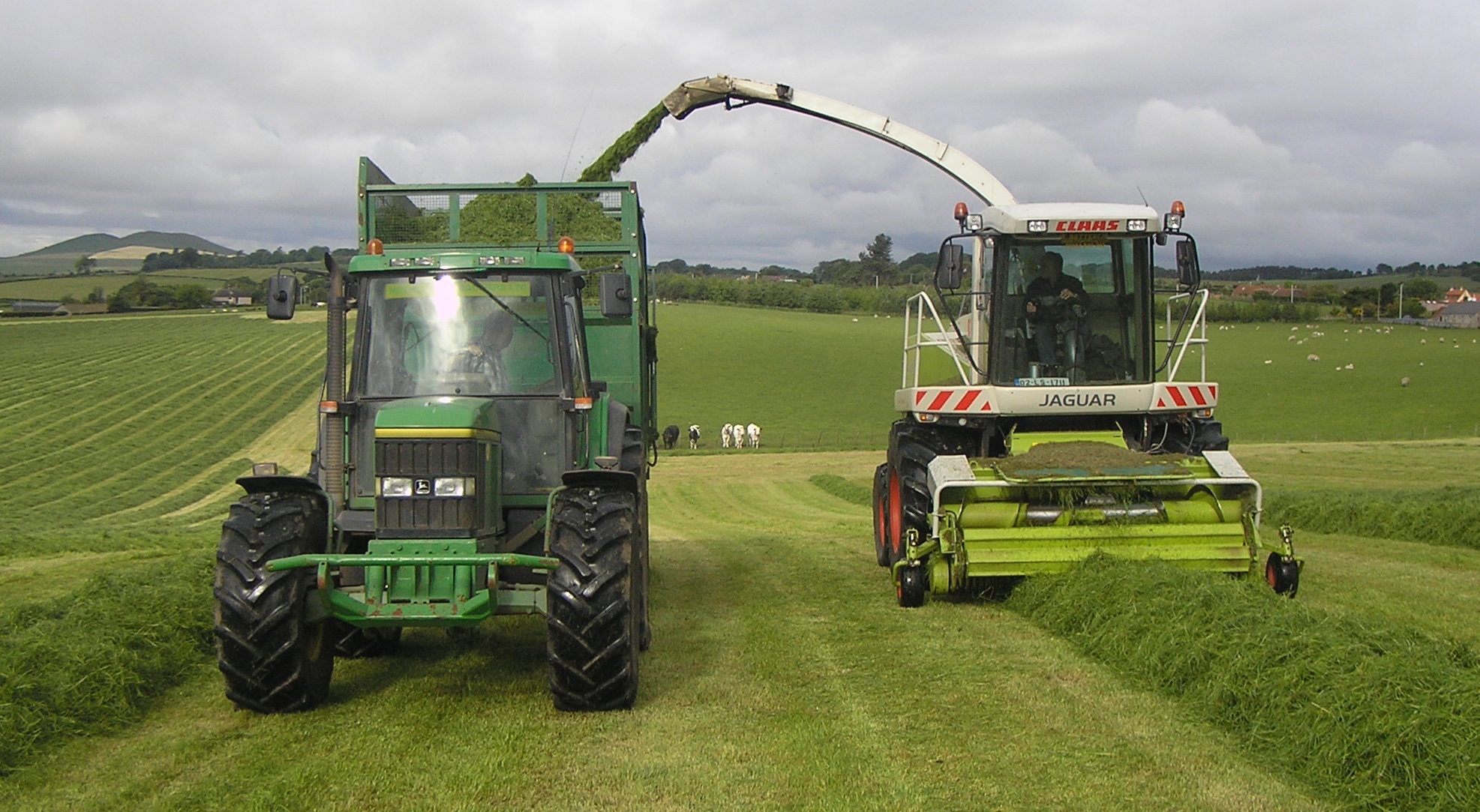 Silage making.jpg