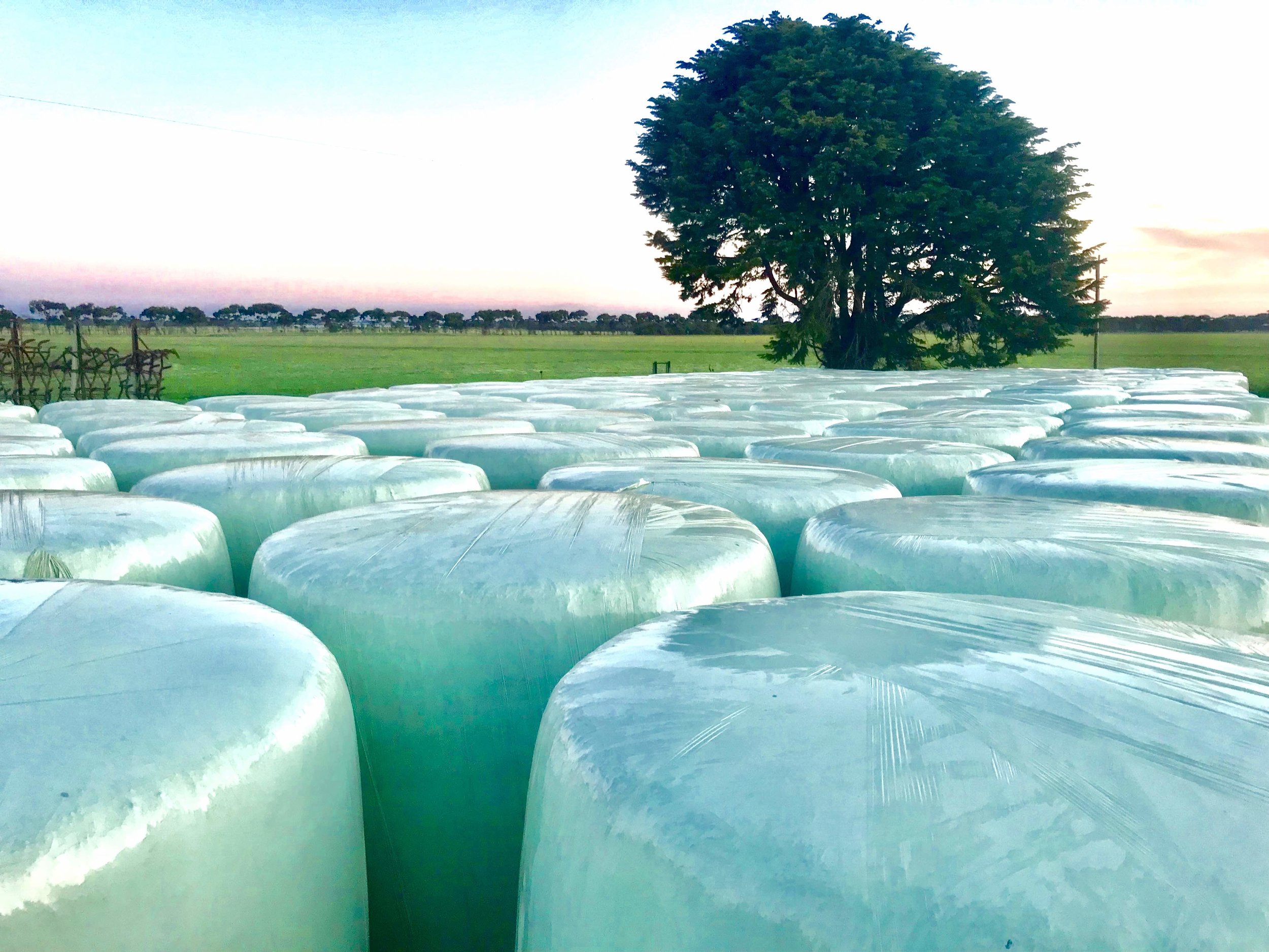 eureka silage wrap 1.jpg