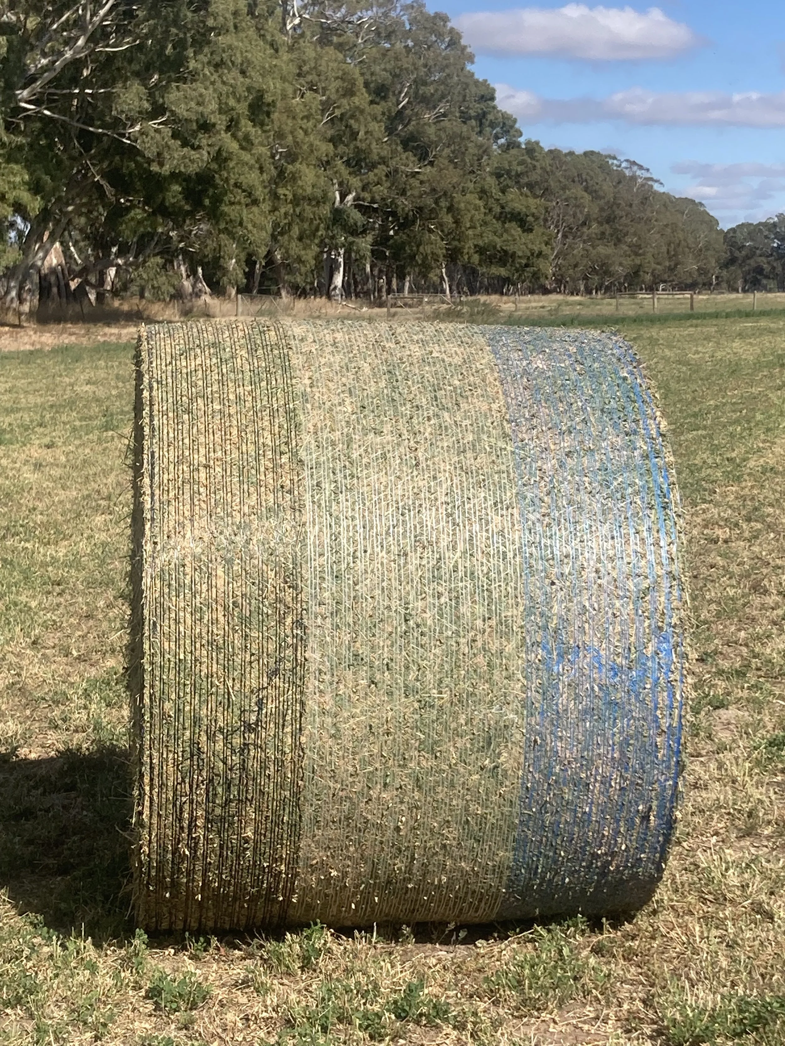 Eureka Netwrap Plastag