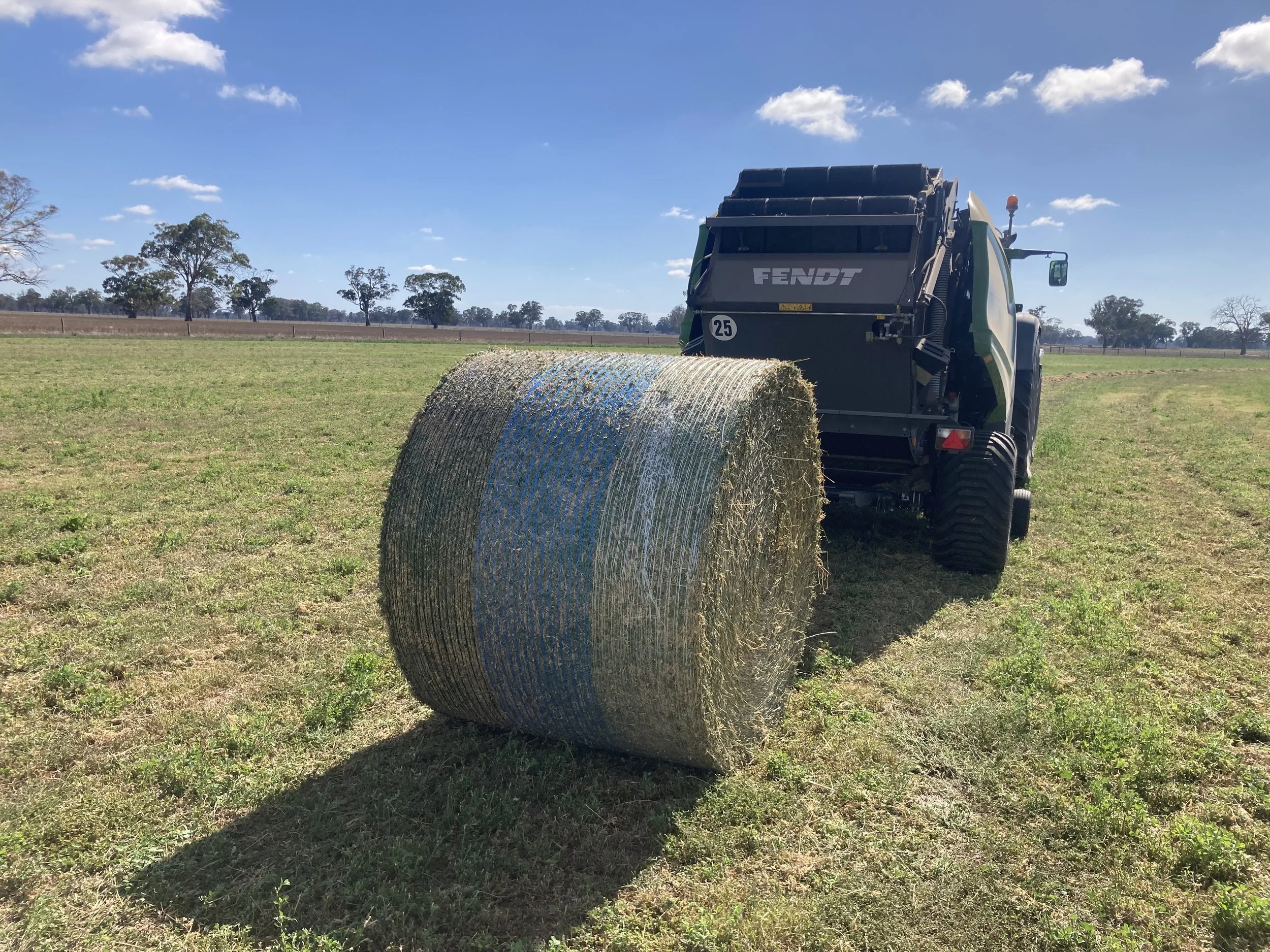 Eureka Netwrap Plastag