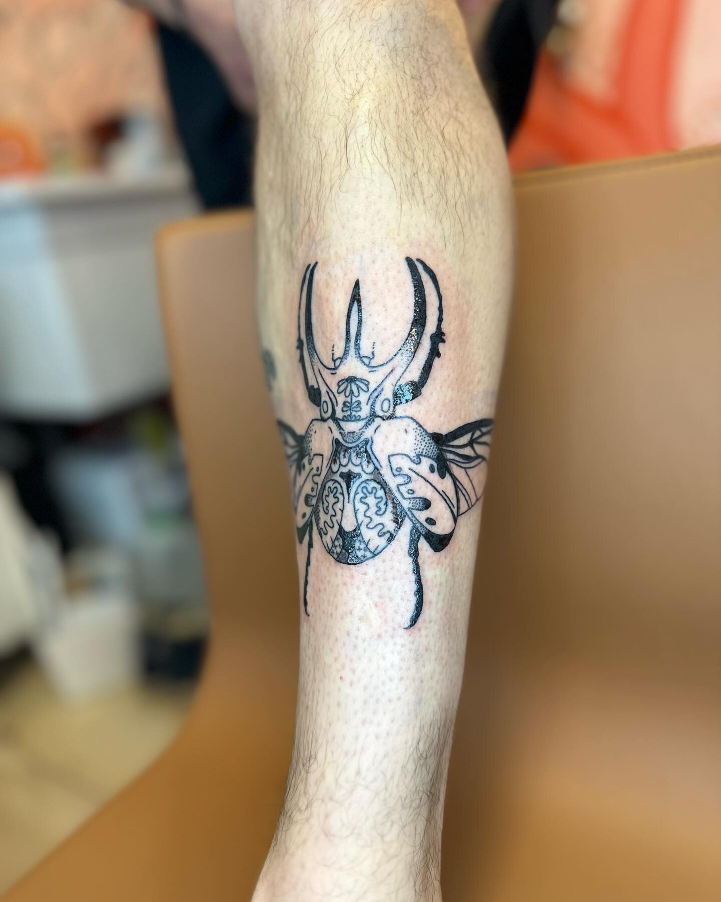 An alternate atlas bug, the first one was so fun I couldn&rsquo;t resist. Sitting sweet on this shin! 
-

-

#tattoo #tattooideas #tattoos #pdxtattoo #pdxtattooartist #pdxtattooers #drawing #ink #inkedgirls #illustration #illustrationartists #illustr