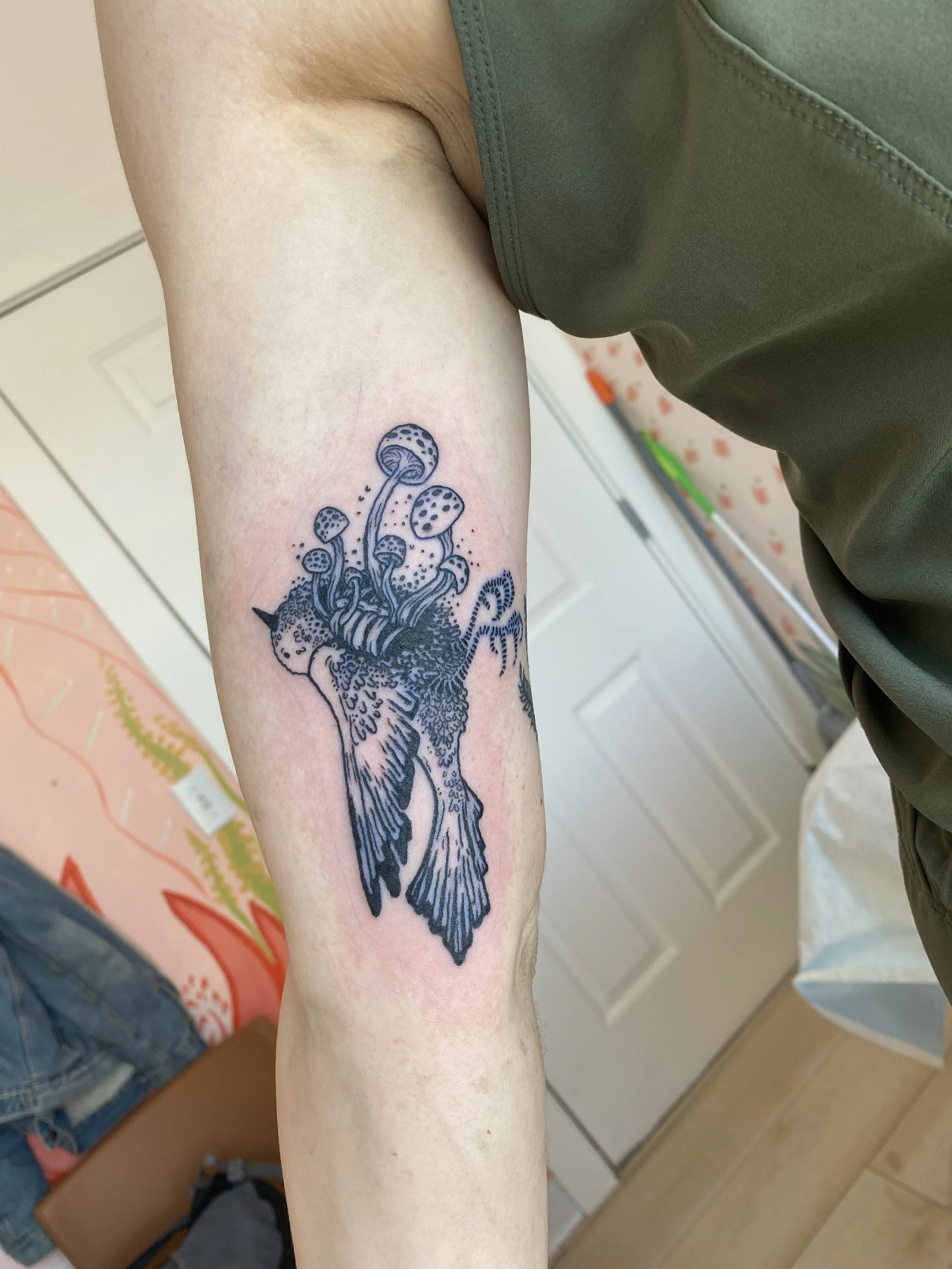IMG_0373.jpeg