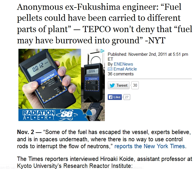 Anonymous ex-Fukushima engineer.jpg
