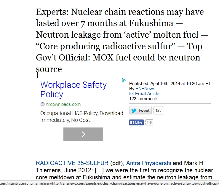 Nuclear chain reactions may have lasted over 7 months at Fukushima.jpg