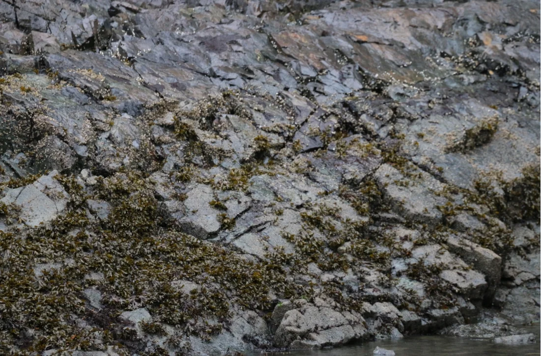 Capture_2014_10_12_21_17_58_423.jpg