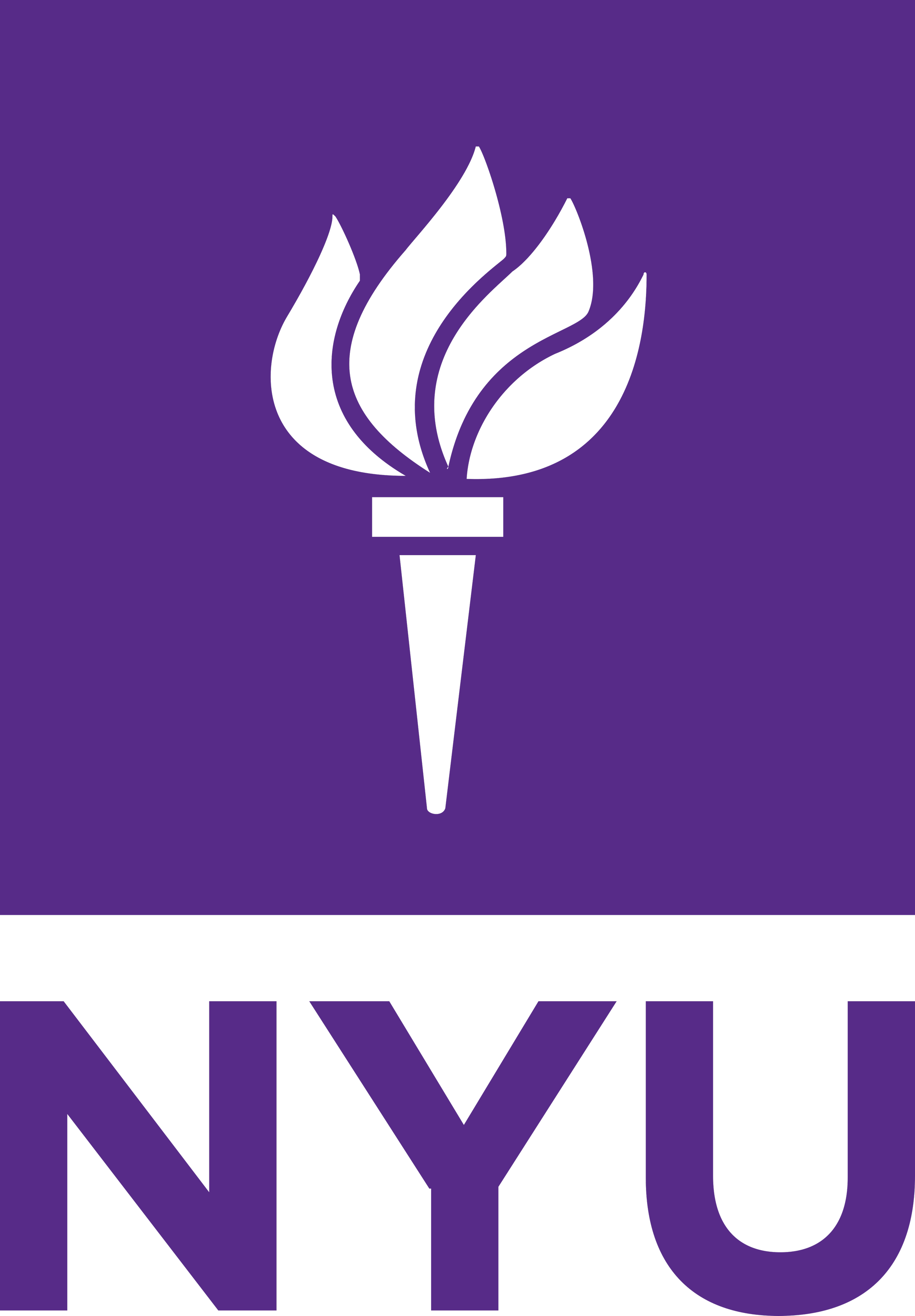 NYU.png