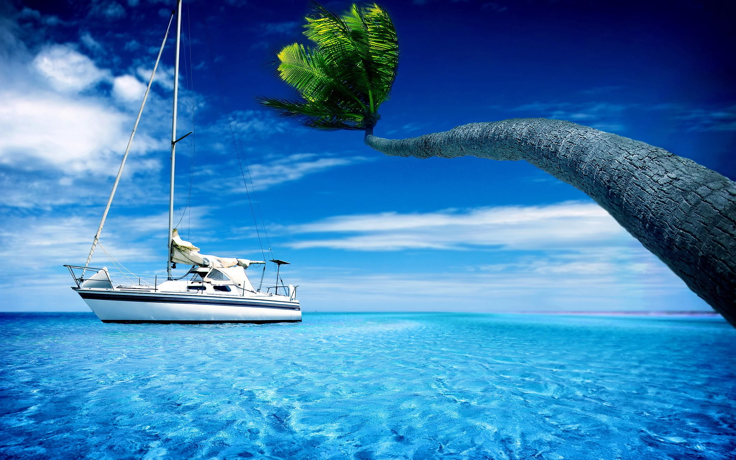 6980443-sailing.jpg