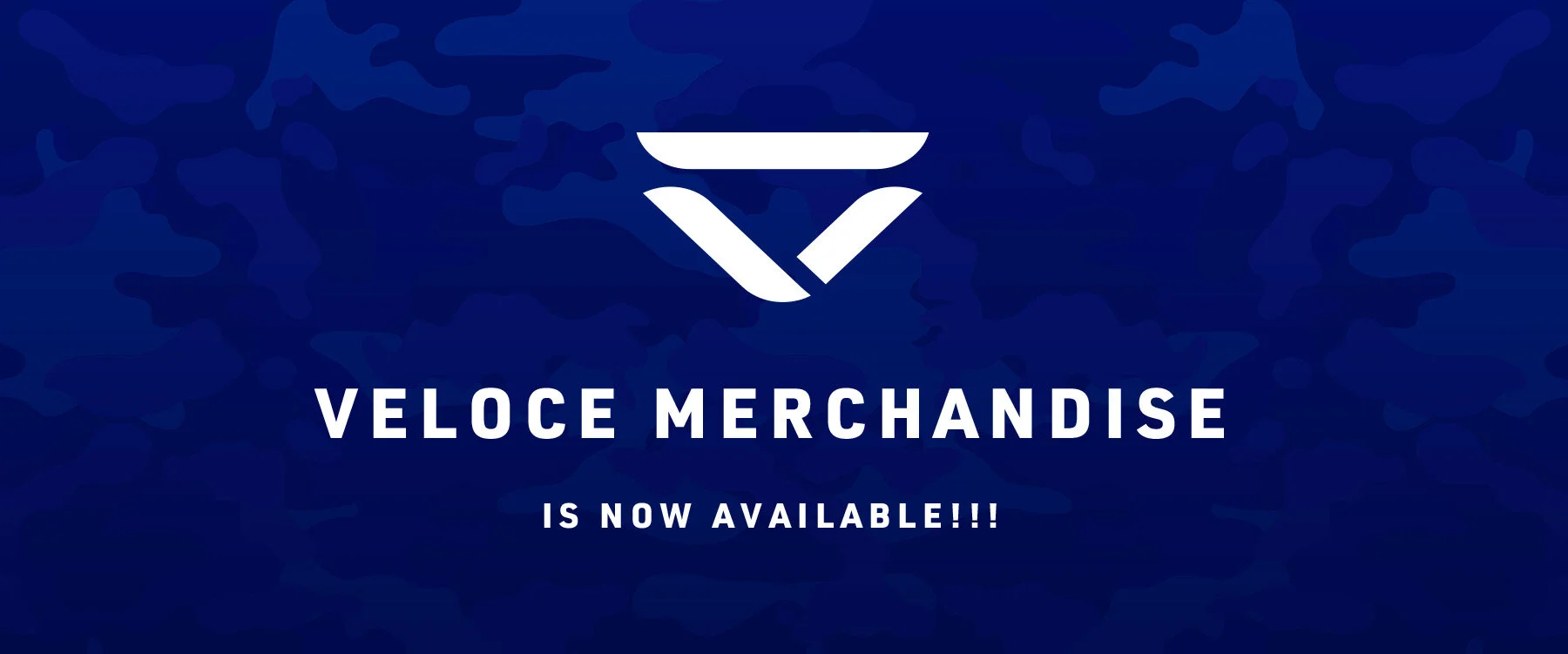 Veloce_SliderPage_Logo.jpg