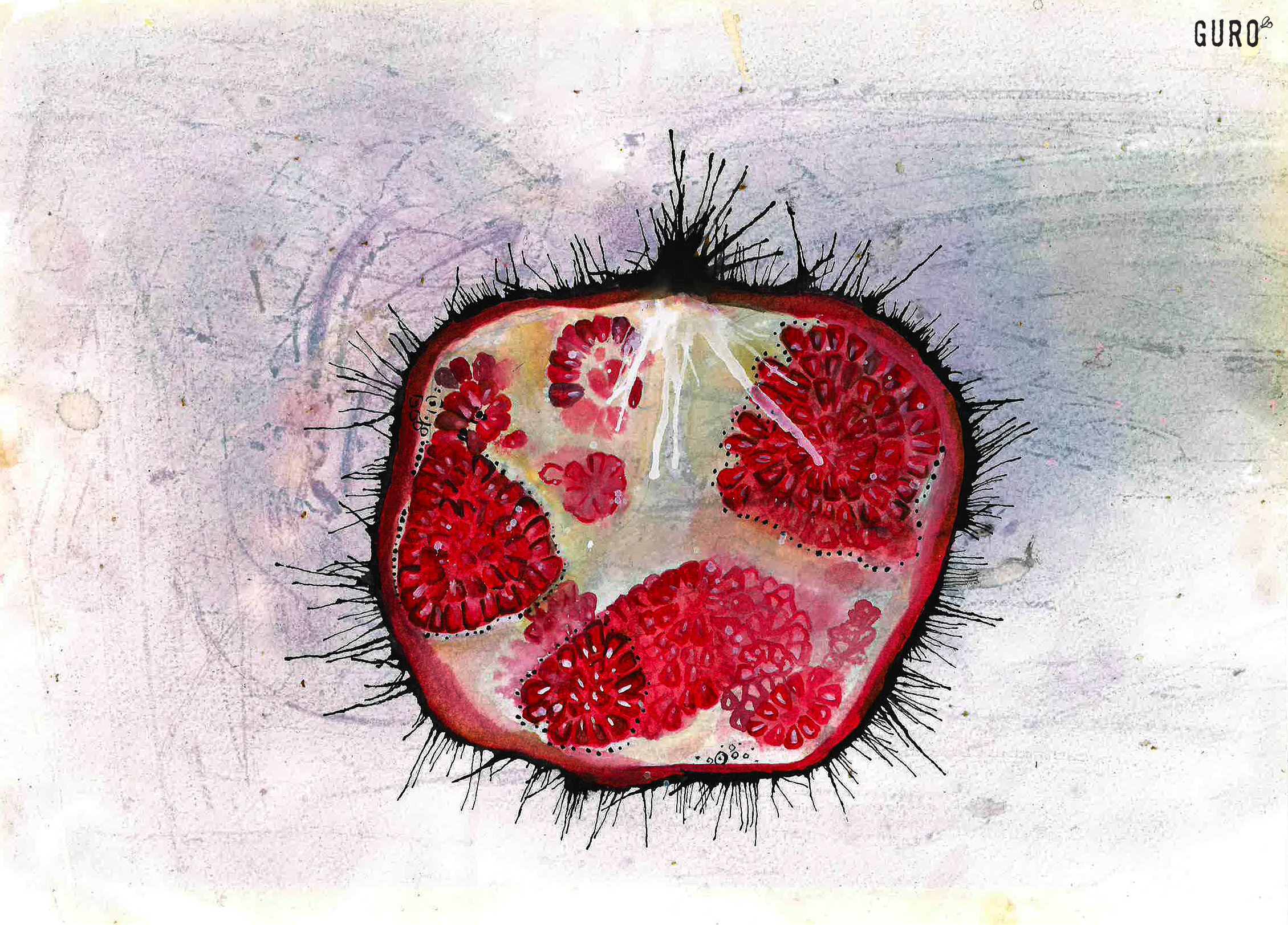 fruitpom.jpg