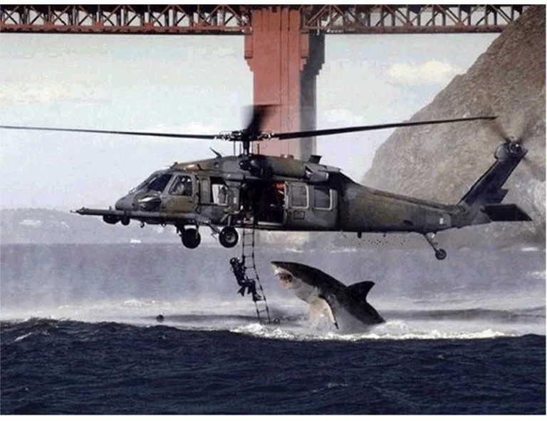 Bad days are relative, right? I mean it's not like I'm getting bitten by a shark as I hang from the rescue ladder of a helicopter.