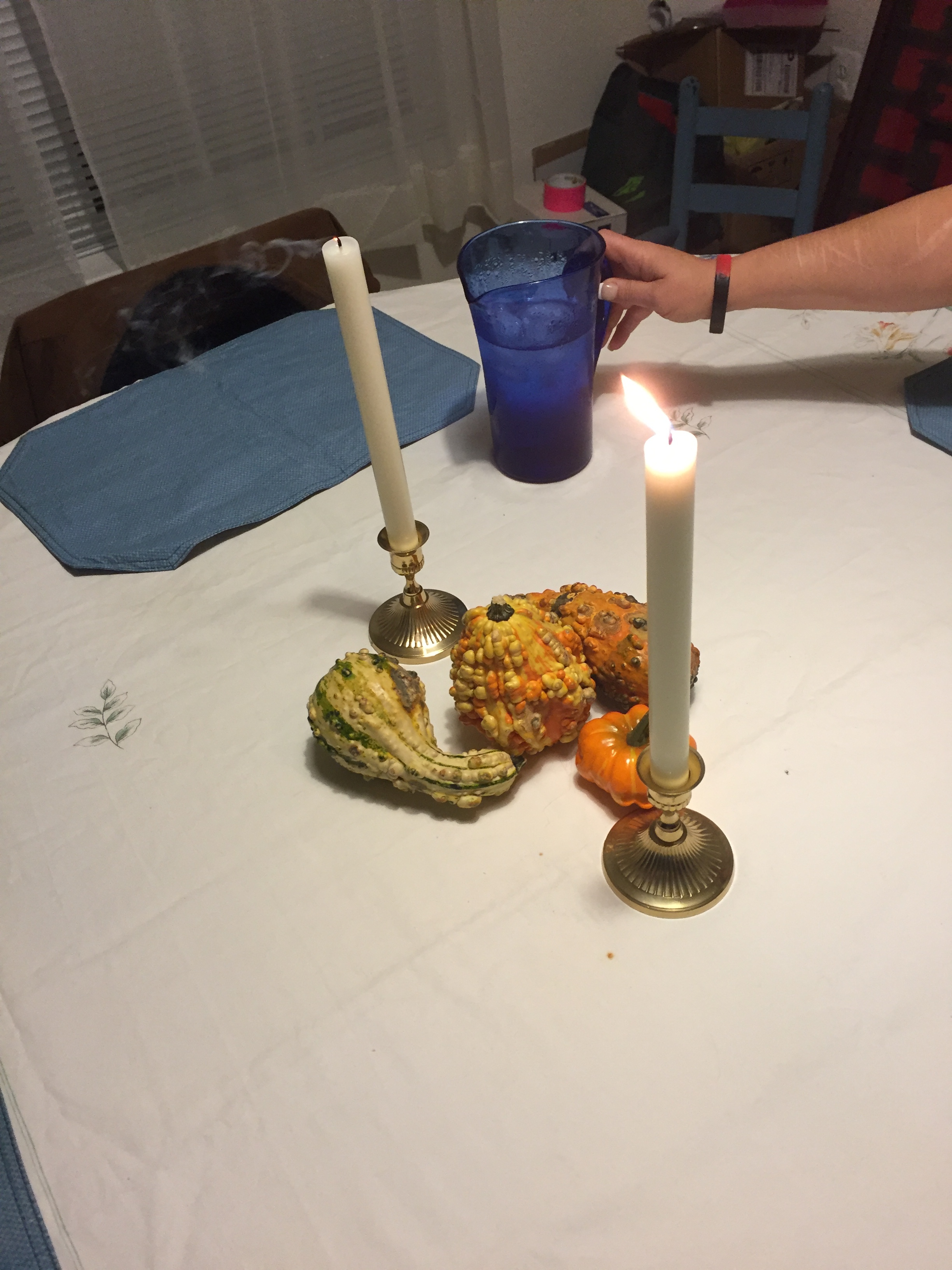 This was just after dinner. You should have seen the fancy formal plates out, and the napkins in napkin rings, and all that. Missy went all out. I just wasn't fast enough with the camera, darn it.