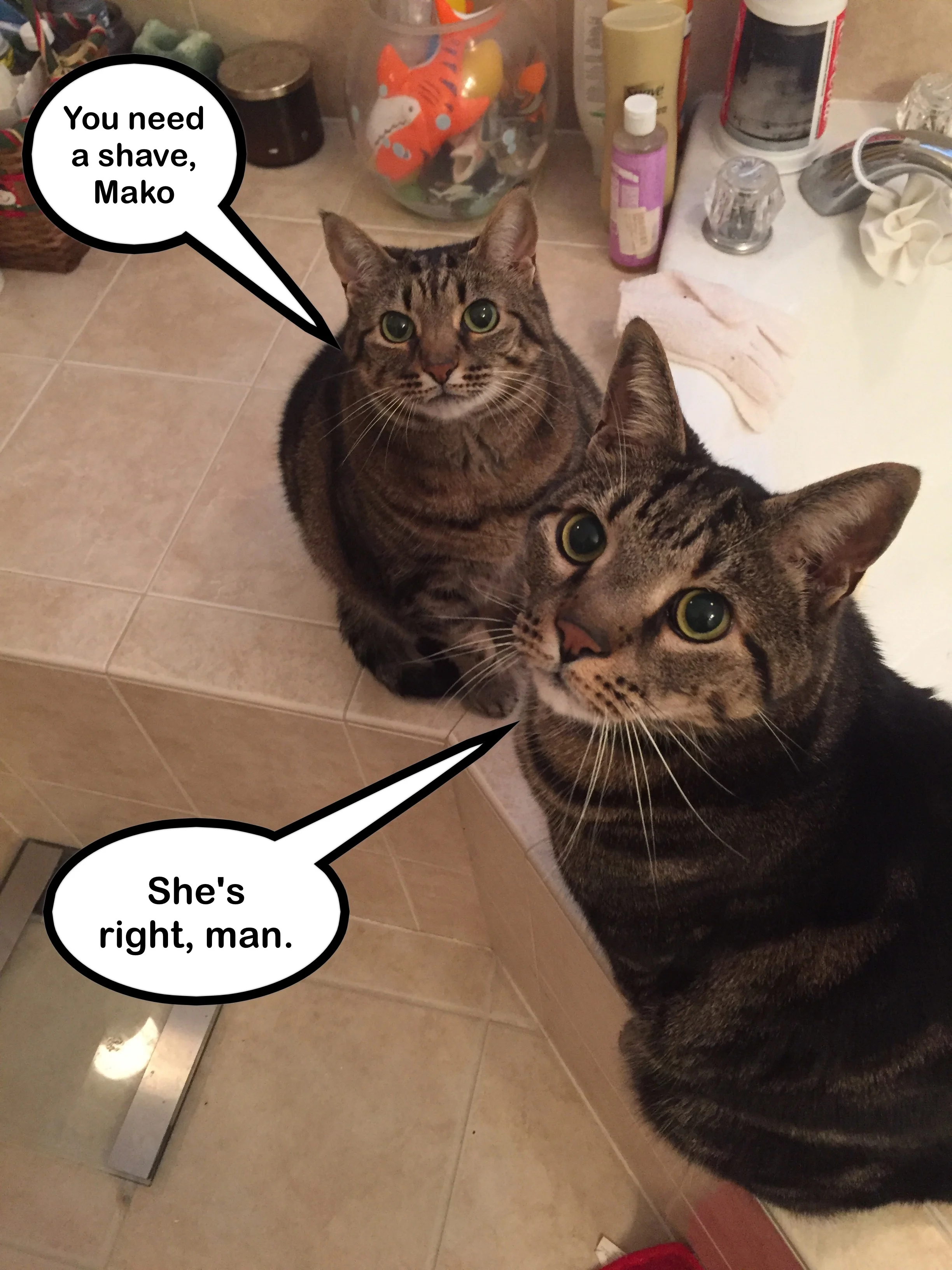 They think I'm too furry. Kind of hypocritical.